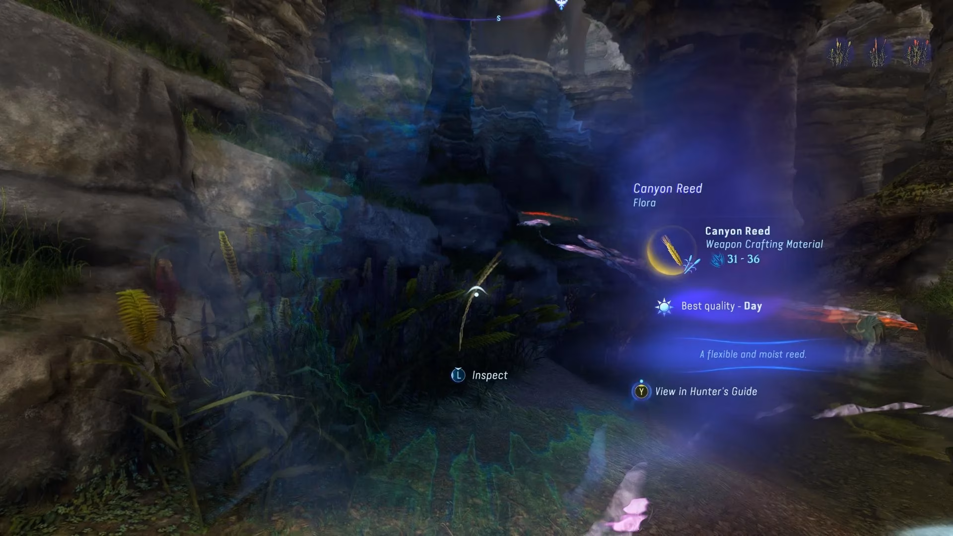 chasing-reeds-in-avatar-frontiers-of-pandora-a-2026-survival-guide-image-2