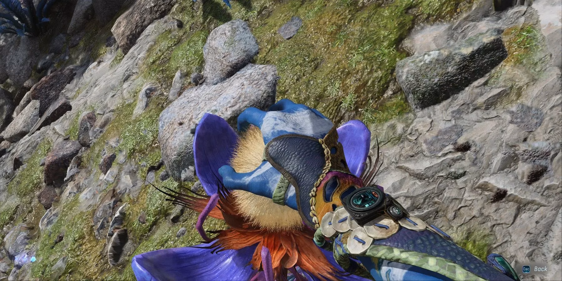 how-avatar-frontiers-of-pandora-makes-gathering-feel-meaningful-image-1