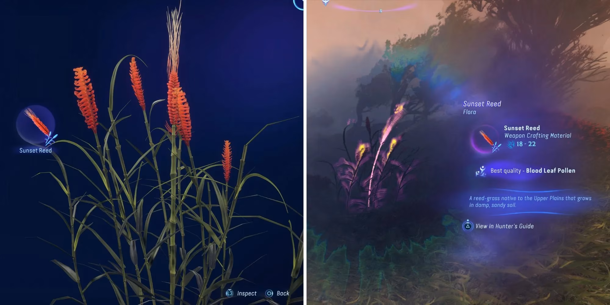 how-to-farm-blood-leaf-pollen-and-change-weather-in-avatar-frontiers-of-pandora-image-0